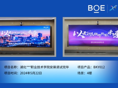 湖北***職業(yè)技術學院安裝調試完畢