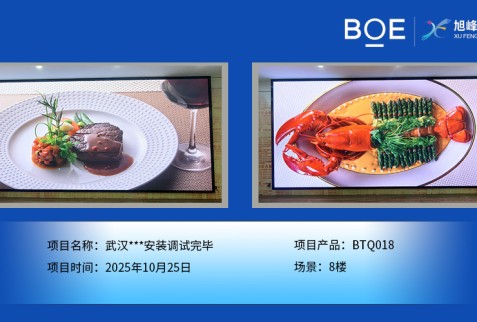 武漢***安裝調(diào)試完畢