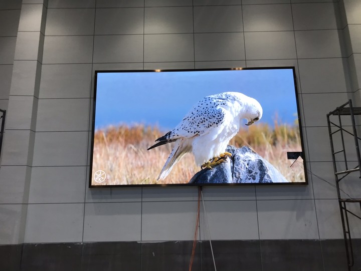 英山茶仙-P2.5-11.46㎡